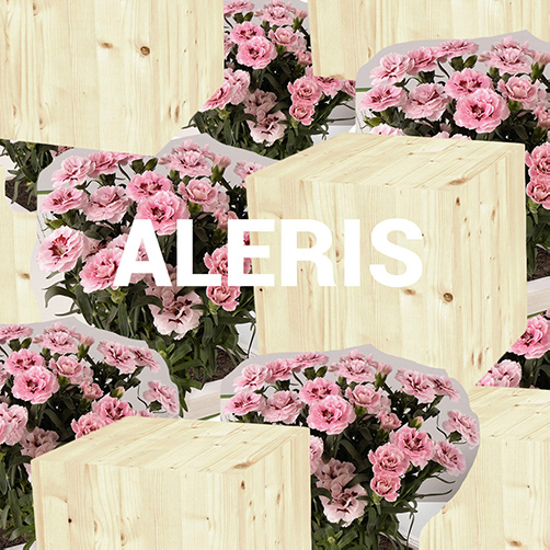 Aleris title image